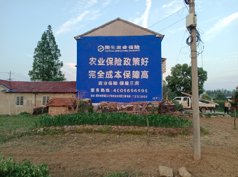 道县墙体广告的优劣势你知道吗？